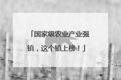 国家级农业产业强镇，这个镇上榜！
