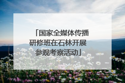国家全媒体传播研修班在石林开展参观考察活动
