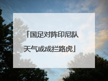 国足对阵印尼队 天气或成拦路虎