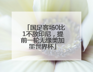 国足客场0比1不敌印尼，提前一轮无缘美加墨世界杯