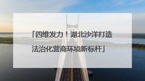 四维发力！湖北沙洋打造法治化营商环境新标杆