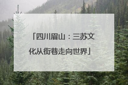 四川眉山：三苏文化从街巷走向世界
