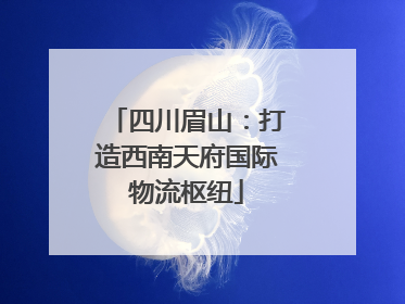 四川眉山：打造西南天府国际物流枢纽