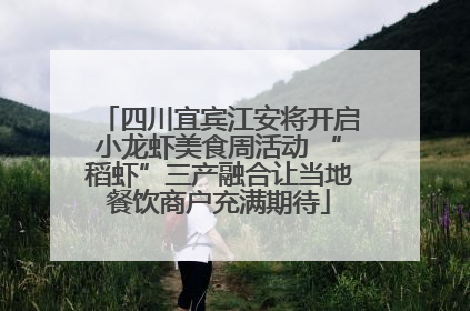 四川宜宾江安将开启小龙虾美食周活动 “稻虾”三产融合让当地餐饮商户充满期待