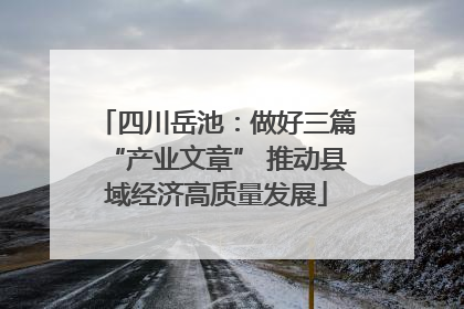 四川岳池：做好三篇“产业文章” 推动县域经济高质量发展