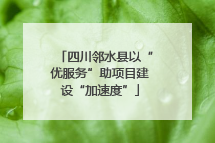 四川邻水县以“优服务”助项目建设“加速度”