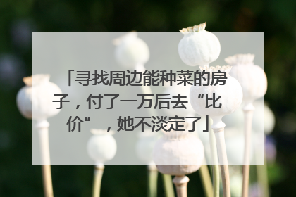 寻找周边能种菜的房子，付了一万后去“比价”，她不淡定了