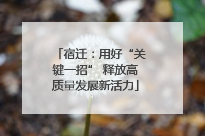 宿迁：用好“关键一招” 释放高质量发展新活力