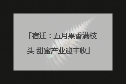 宿迁：五月果香满枝头 甜蜜产业迎丰收