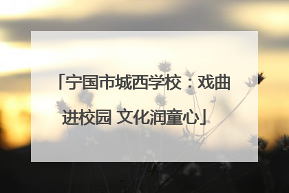 宁国市城西学校：戏曲进校园 文化润童心
