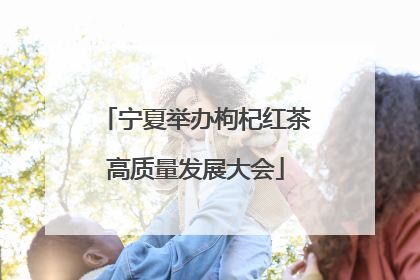 宁夏举办枸杞红茶高质量发展大会