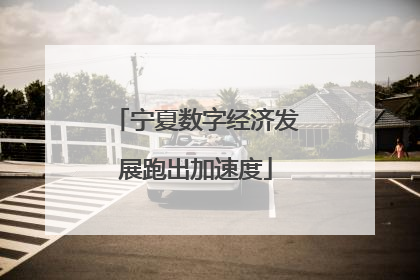 宁夏数字经济发展跑出加速度