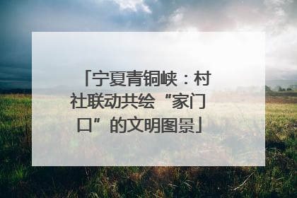宁夏青铜峡：村社联动共绘“家门口”的文明图景