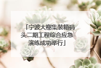 宁波大榭集装箱码头二期工程综合应急演练成功举行