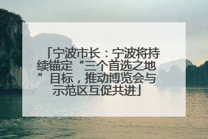 宁波市长：宁波将持续锚定“三个首选之地”目标，推动博览会与示范区互促共进
