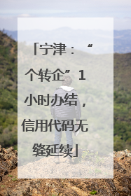 宁津：“个转企”1小时办结，信用代码无缝延续