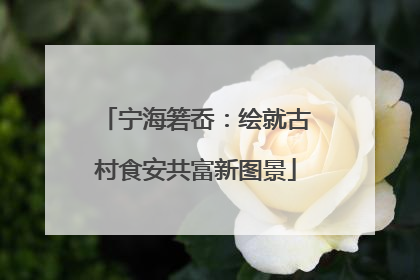 宁海箬岙：绘就古村食安共富新图景