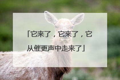 它来了，它来了，它从催更声中走来了