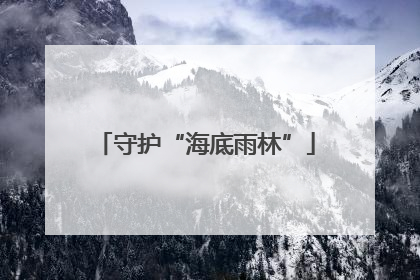 守护“海底雨林”