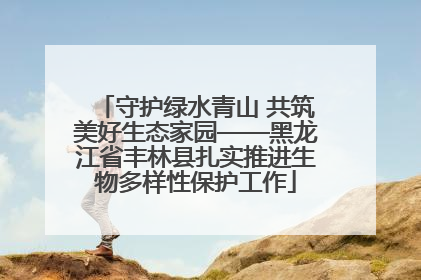 守护绿水青山 共筑美好生态家园——黑龙江省丰林县扎实推进生物多样性保护工作