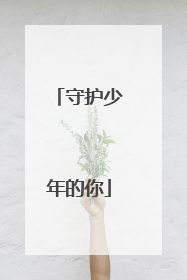 守护少年的你