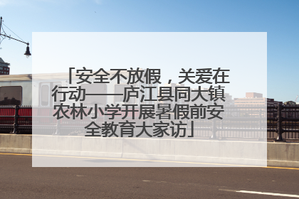 安全不放假，关爱在行动——庐江县同大镇农林小学开展暑假前安全教育大家访