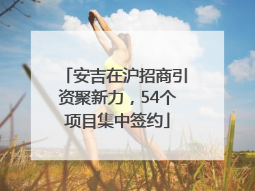 安吉在沪招商引资聚新力，54个项目集中签约