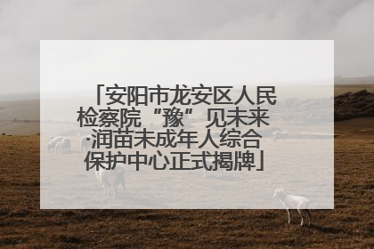 安阳市龙安区人民检察院“豫”见未来·润苗未成年人综合保护中心正式揭牌