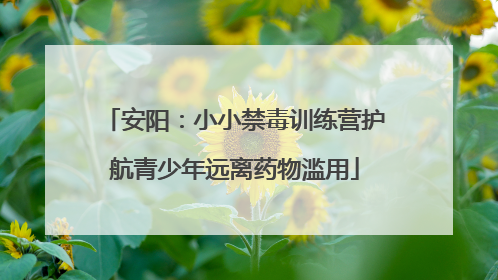 安阳：小小禁毒训练营护航青少年远离药物滥用