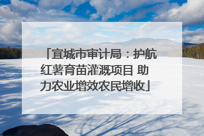 宜城市审计局：护航红薯育苗灌溉项目 助力农业增效农民增收