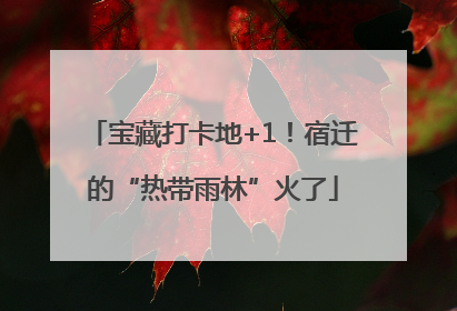 宝藏打卡地+1！宿迁的“热带雨林”火了