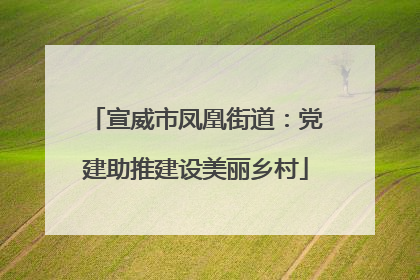 宣威市凤凰街道：党建助推建设美丽乡村