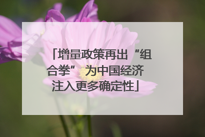 增量政策再出“组合拳” 为中国经济注入更多确定性
