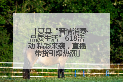 夏县“晋情消费·品质生活”618活动 精彩来袭，直播带货引爆热潮