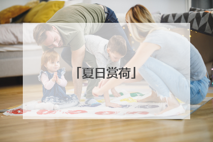夏日赏荷