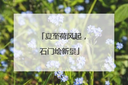 夏至荷风起，石门绘新景