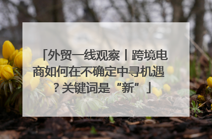 外贸一线观察丨跨境电商如何在不确定中寻机遇？关键词是“新”