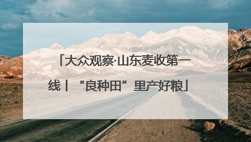 大众观察·山东麦收第一线丨“良种田”里产好粮