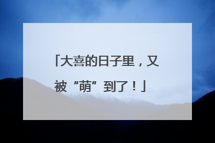 大喜的日子里，又被“萌”到了！