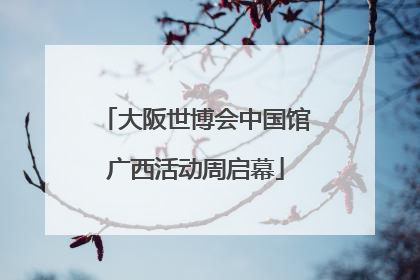 大阪世博会中国馆广西活动周启幕