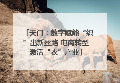 天门：数字赋能“织”出新丝路 电商转型激活“衣”产业