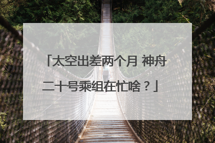 太空出差两个月 神舟二十号乘组在忙啥？