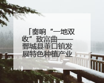 奏响“一地双收”致富曲——鄄城县董口镇发展特色种植产业侧记