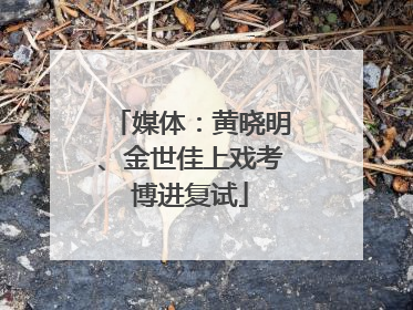 媒体：黄晓明、金世佳上戏考博进复试