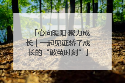 心向暖阳·聚力成长｜一起见证骄子成长的“破茧时刻”