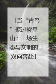 当“青鸟”掠过舜皇山：一场生态与文明的双向奔赴