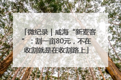 微纪录｜威海“新麦客”：割一亩80元，不在收割就是在收割路上