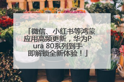 微信、小红书等鸿蒙应用高频更新，华为Pura 80系列到手即解锁全新体验！