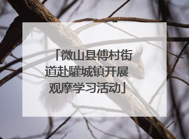 微山县傅村街道赴驩城镇开展观摩学习活动