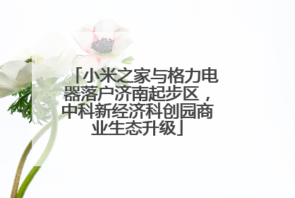 小米之家与格力电器落户济南起步区，中科新经济科创园商业生态升级
